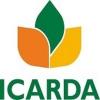 https://www.mncjobsindia.com/company/icarda