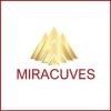 https://www.mncjobsindia.com/company/miracuves
