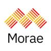 https://www.mncjobsindia.com/company/morae-global