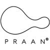 https://www.mncjobsindia.com/company/praan-inc
