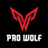 https://www.mncjobsindia.com/company/pro-wolf