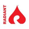 https://www.mncjobsindia.com/company/radiant-systems