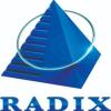 https://www.mncjobsindia.com/company/radixweb