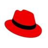 https://www.mncjobsindia.com/company/red-hat