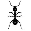 https://www.mncjobsindia.com/company/the-media-ant