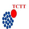 https://www.mncjobsindia.com/company/travellers-choice-travel-tourism-llc