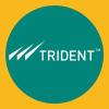 https://www.mncjobsindia.com/company/trident-group