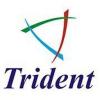 https://www.mncjobsindia.com/company/trident-infosol