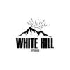 https://www.mncjobsindia.com/company/white-hill-studios
