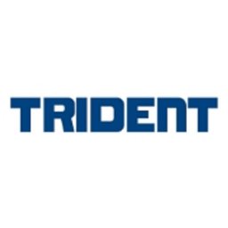 https://www.mncjobsindia.com/company/trident-automobiles