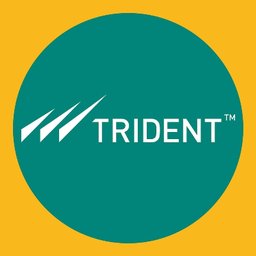 https://www.mncjobsindia.com/company/trident-group