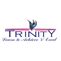 https://www.mncjobsindia.com/company/trinity-international-school