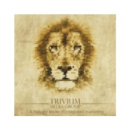 https://www.mncjobsindia.com/company/trivium-media-group
