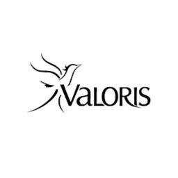 https://www.mncjobsindia.com/company/valoris