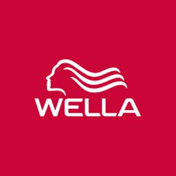 https://www.mncjobsindia.com/company/wella
