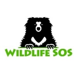 https://www.mncjobsindia.com/company/wildlife-sos